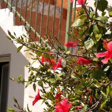 Casale Hibiscus Villa Santa Maria Del Focallo Buitenkant foto