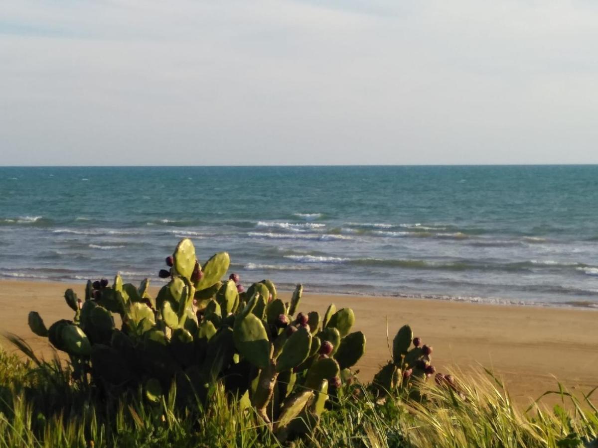 Casale Hibiscus Villa Santa Maria Del Focallo Buitenkant foto