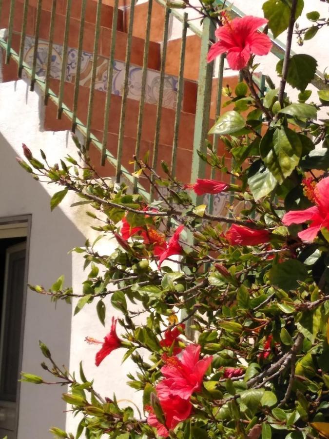 Casale Hibiscus Villa Santa Maria Del Focallo Buitenkant foto